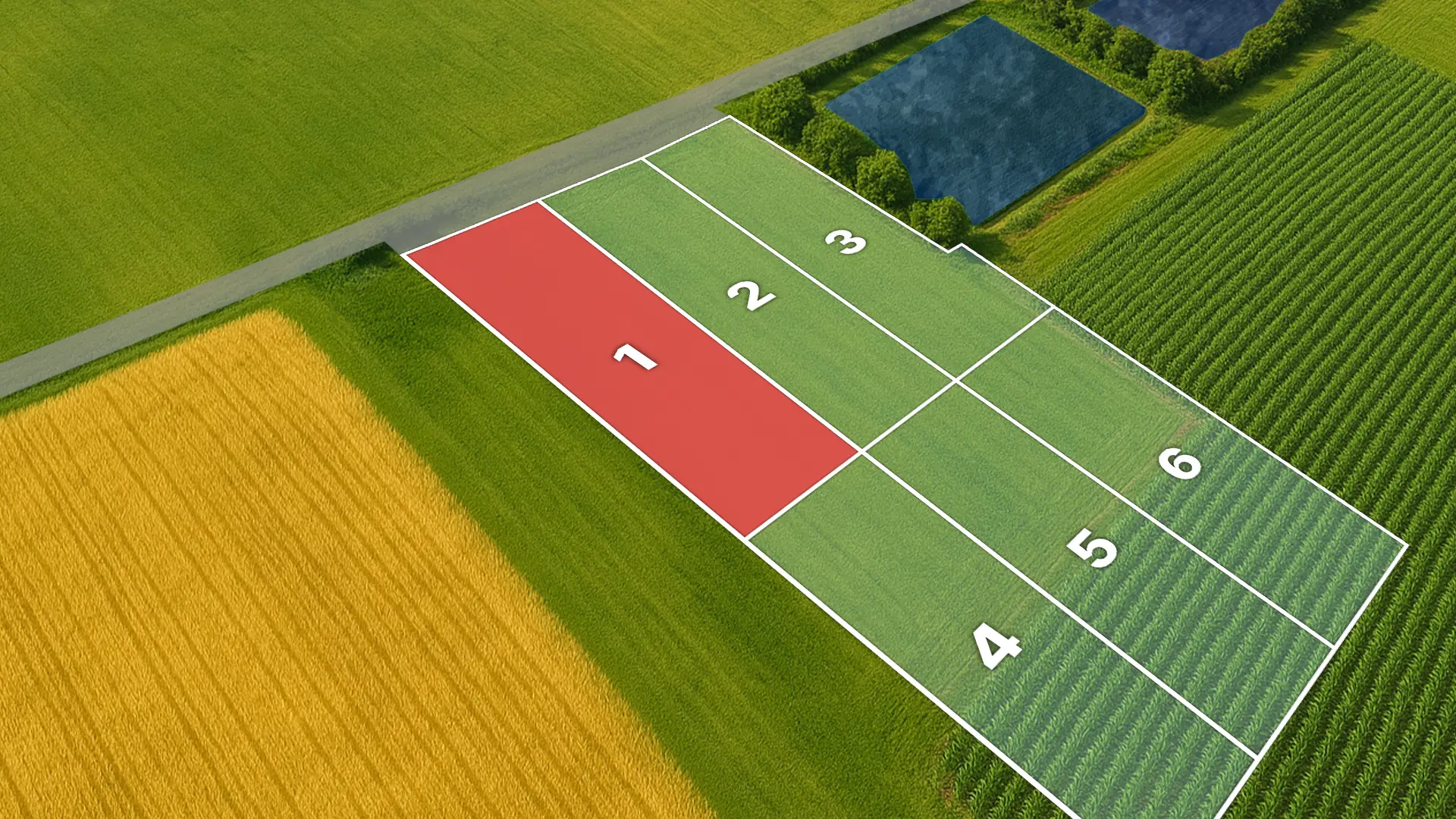 Сасыкские Земли 2, участок № 1, 1 Га