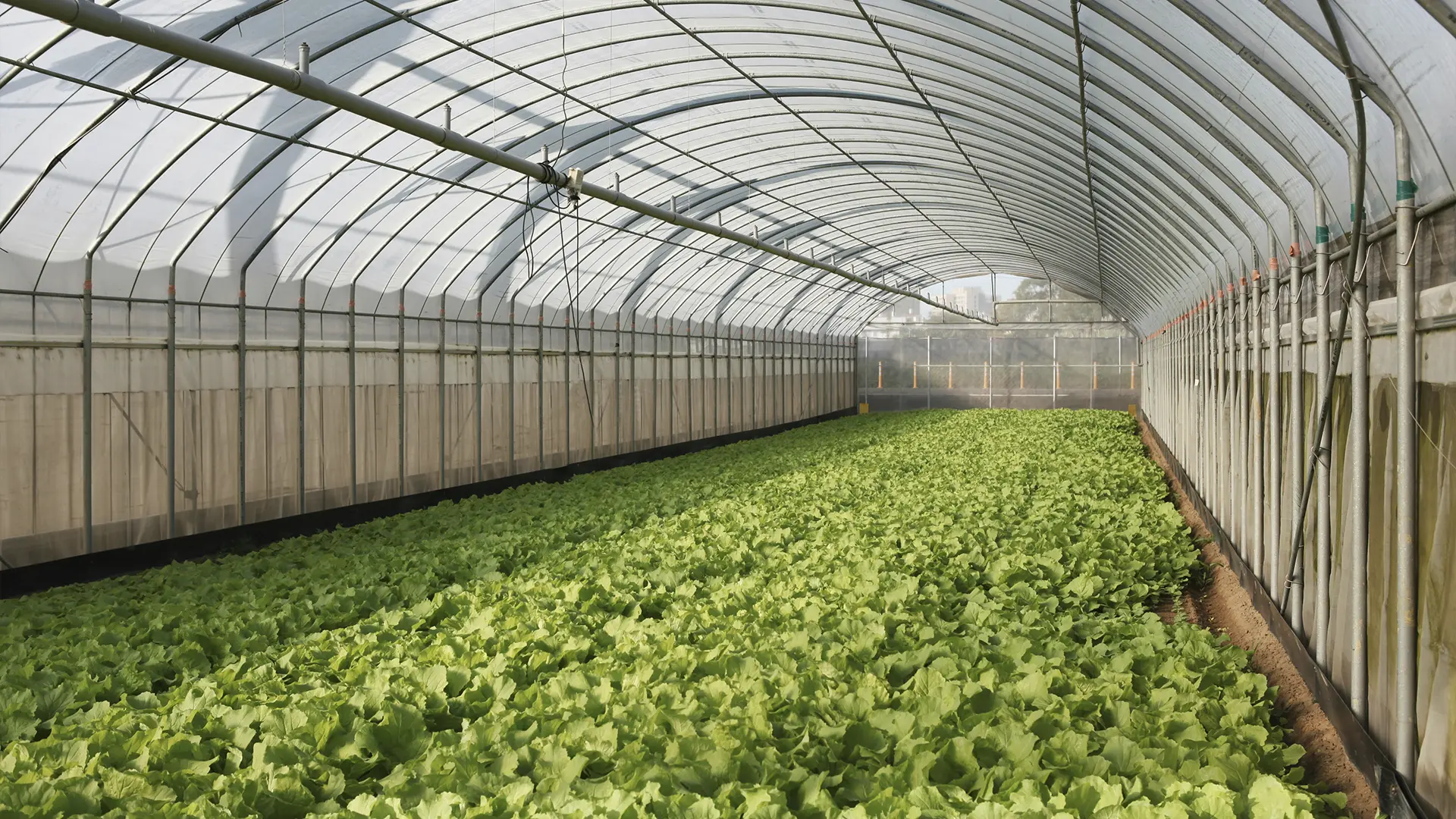 Бакальский берег, участок № 18, 1,2 Га