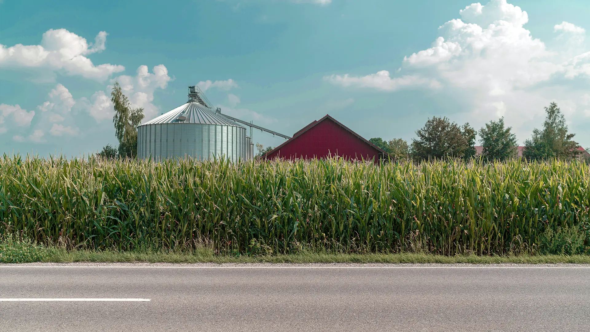 Бакальский берег, участок № 18, 1,2 Га